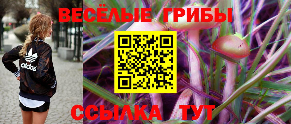 Канск  Псилоцибиновые грибы Magic Shrooms  Вход с VPN 